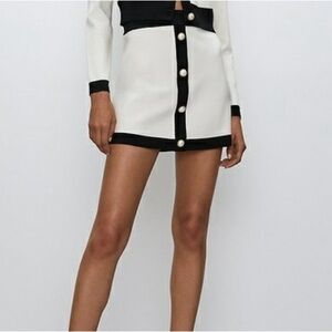 Aritzia Babaton Legacy Skirt